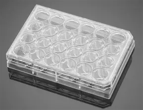 Placa de cultivo celular - 24 poços